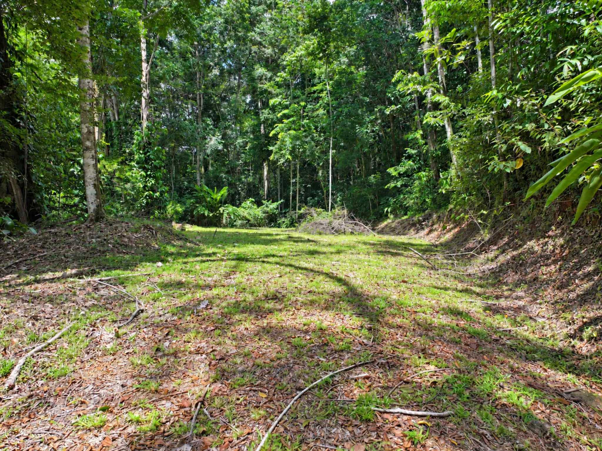 76705-17 Private Mountain & Valley View Building Lot with Legal Water in Dominical Costa Rica