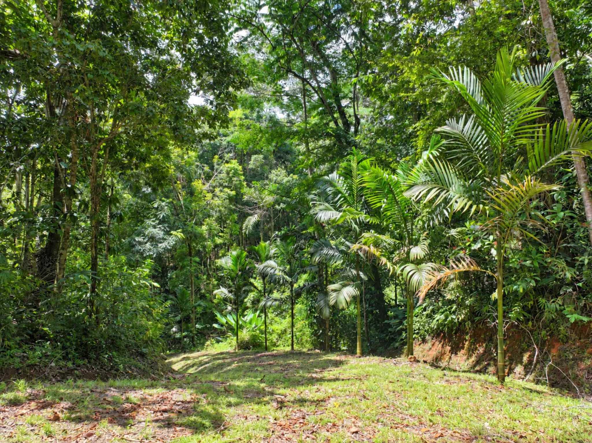 76705-19 Private Mountain & Valley View Building Lot with Legal Water in Dominical Costa Rica