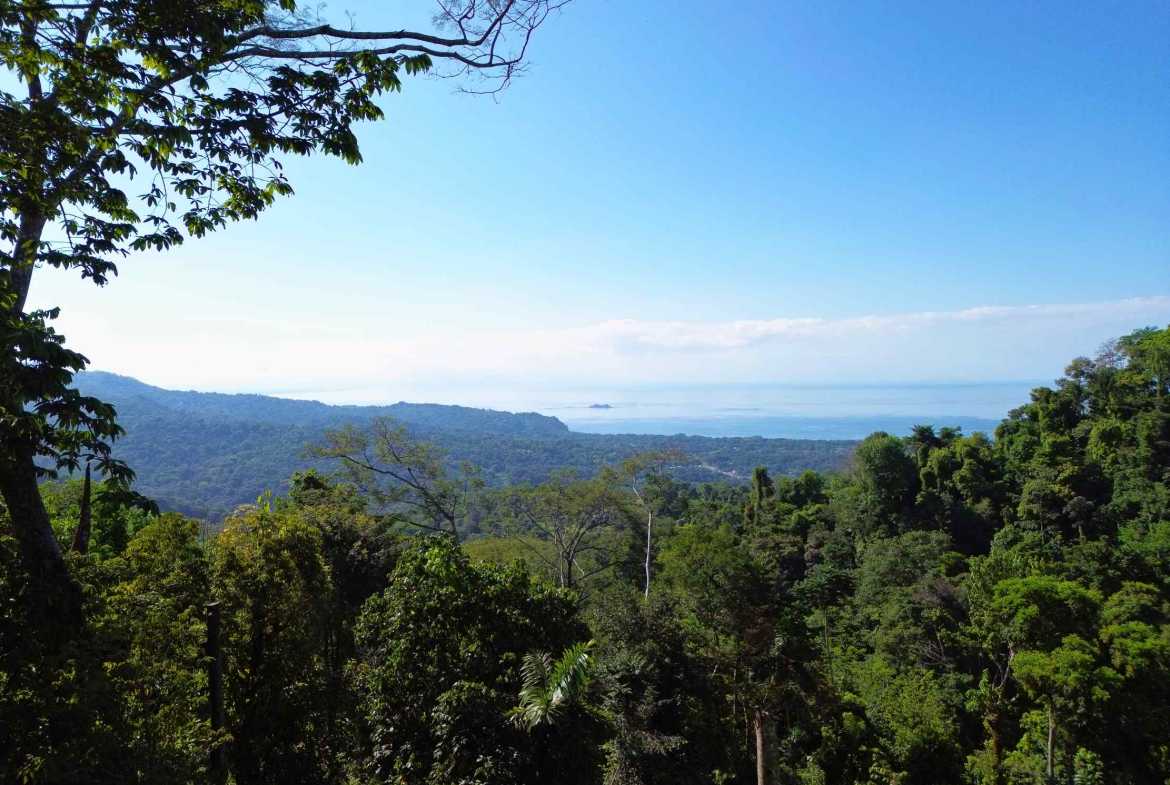 Spectacular Ocean View Build-Ready Nearly-Two-Acre Building Lot with Legal Water in Uvita Costa Rica