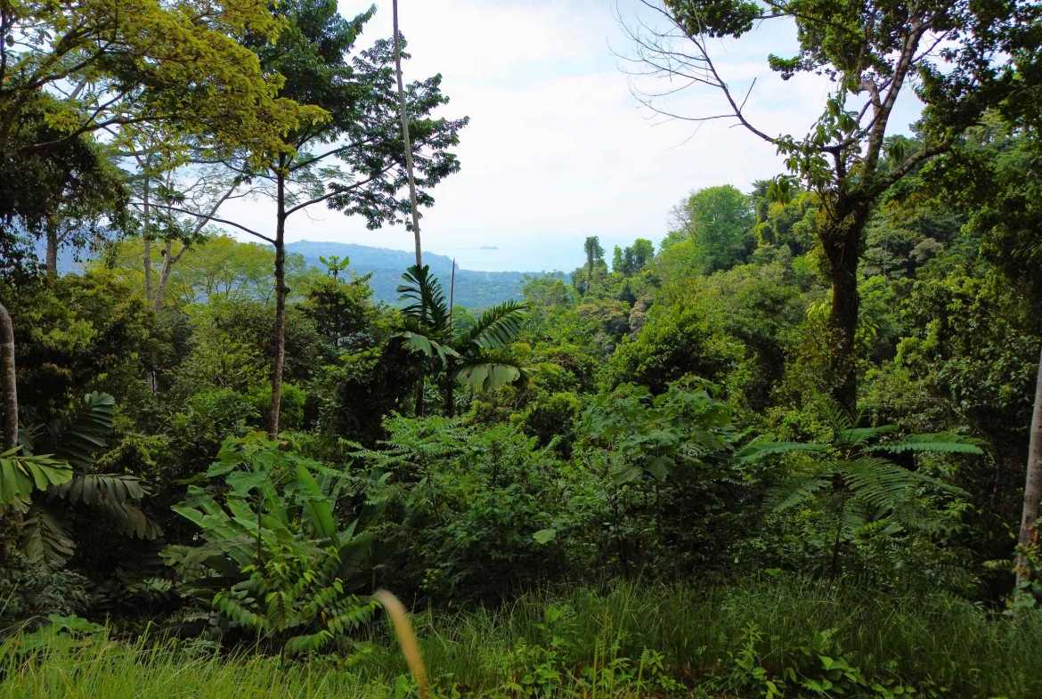 Ocean View Build-Ready Nearly-Two-Acre Building Lot with Legal Water, photo 4 of 20