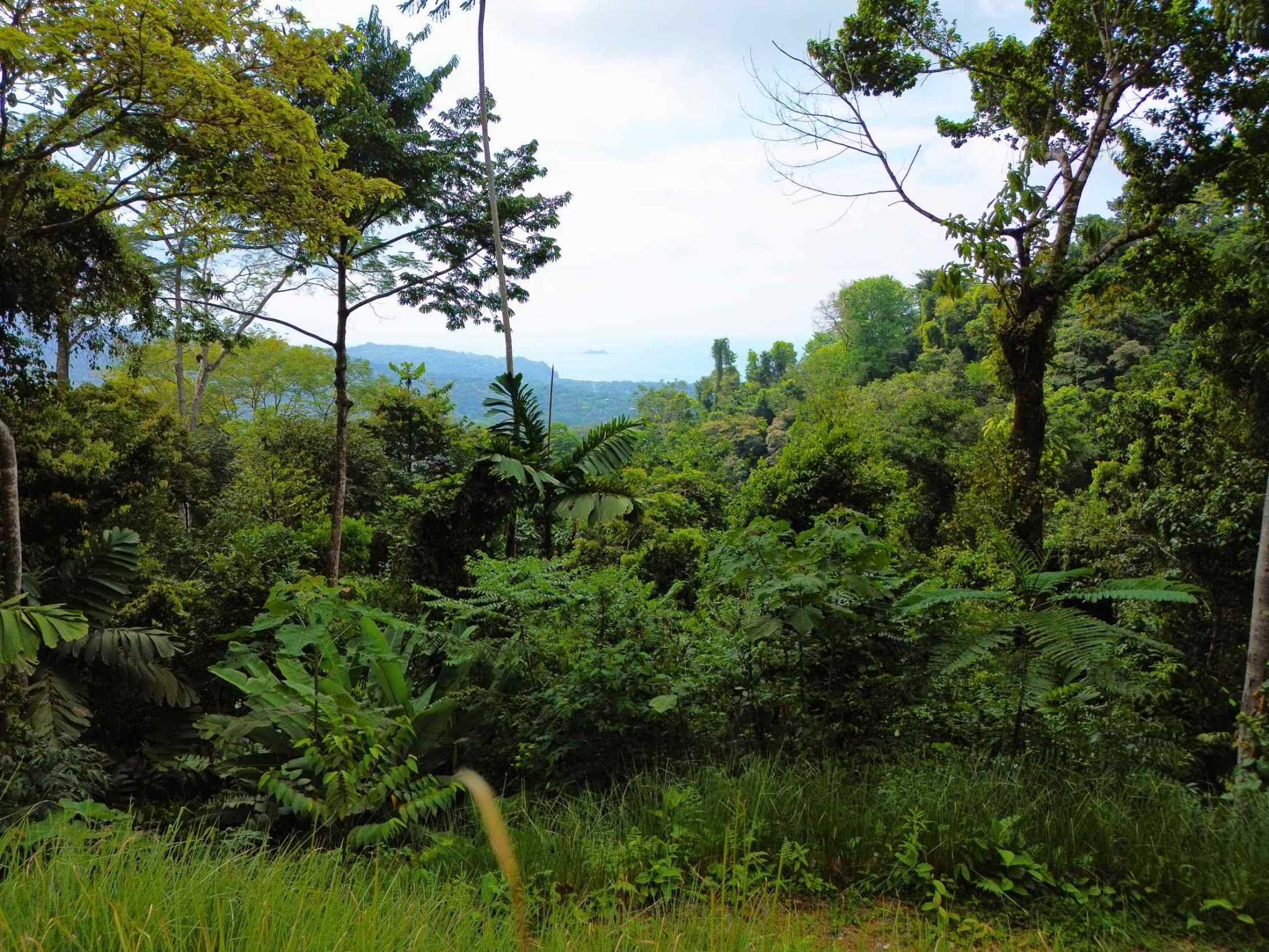 76707-3 Spectacular Ocean View Build-Ready Nearly-Two-Acre Building Lot with Legal Water in Uvita Costa Rica