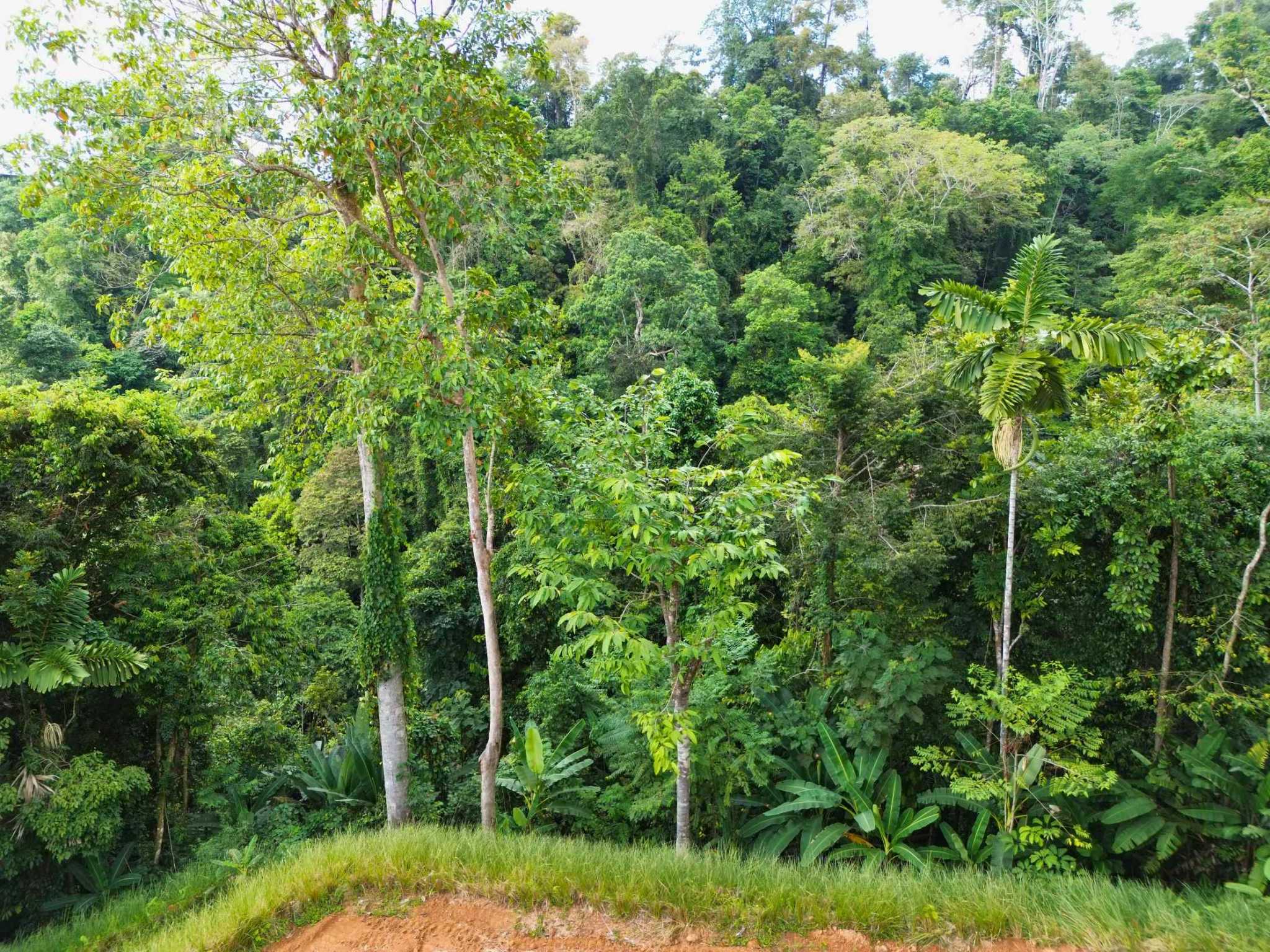 76707-6 Spectacular Ocean View Build-Ready Nearly-Two-Acre Building Lot with Legal Water in Uvita Costa Rica