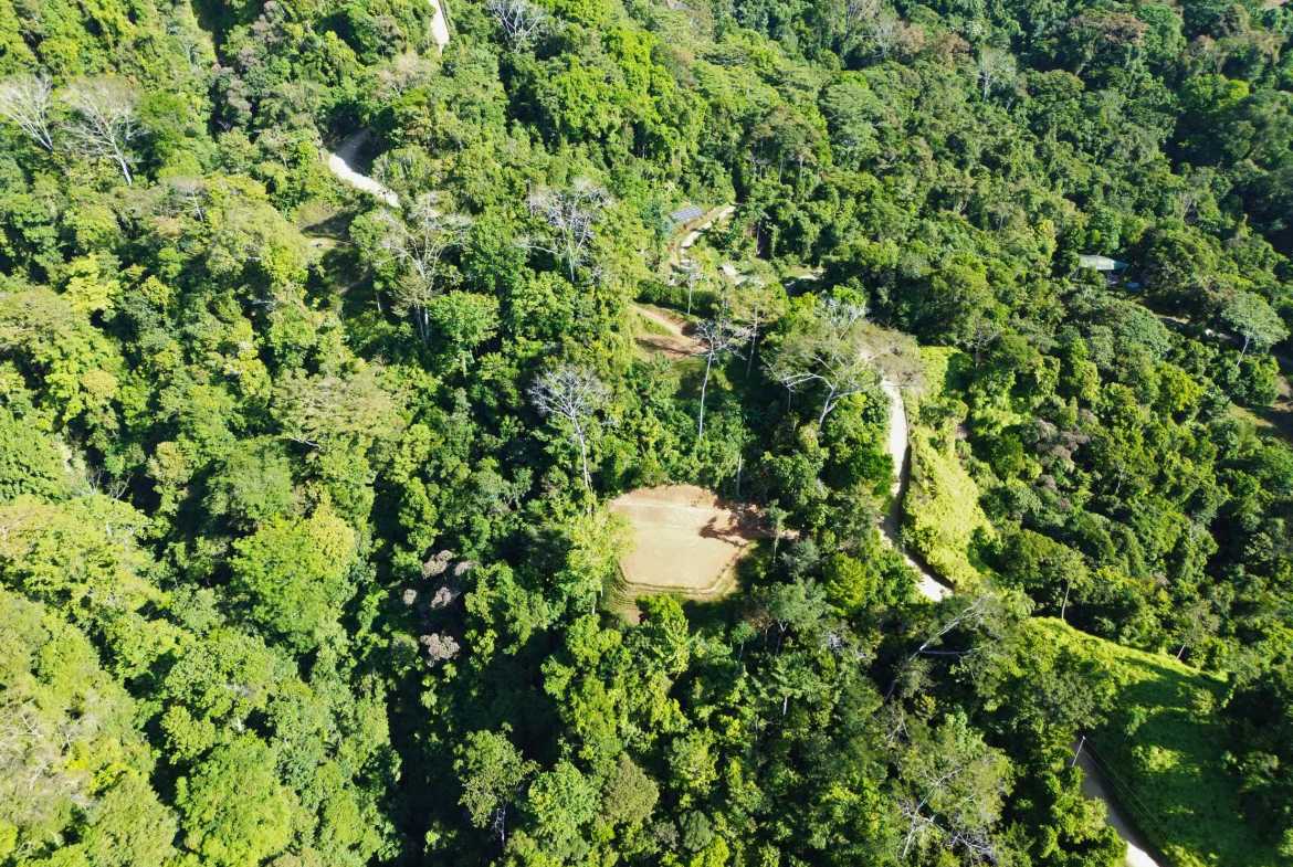Ocean View Build-Ready Nearly-Two-Acre Building Lot with Legal Water, photo 11 of 20