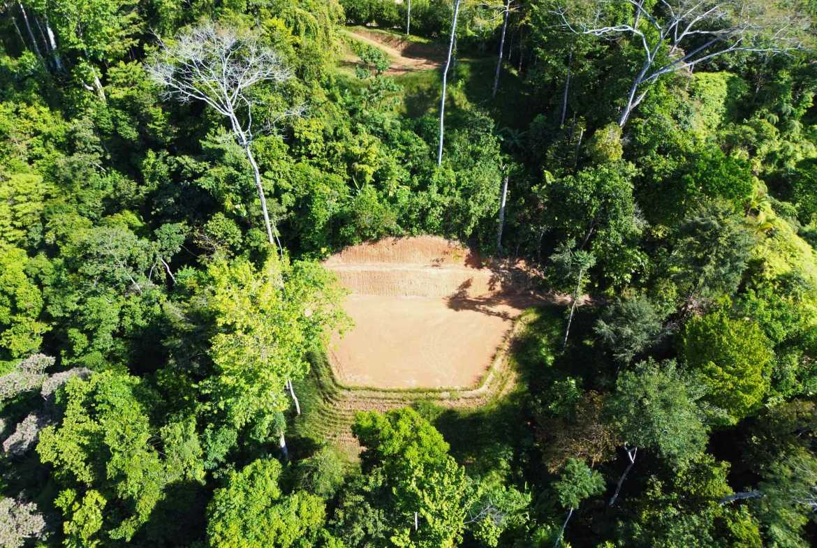 Ocean View Build-Ready Nearly-Two-Acre Building Lot with Legal Water, photo 13 of 20