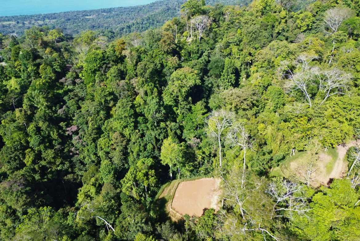 Ocean View Build-Ready Nearly-Two-Acre Building Lot with Legal Water, photo 15 of 20