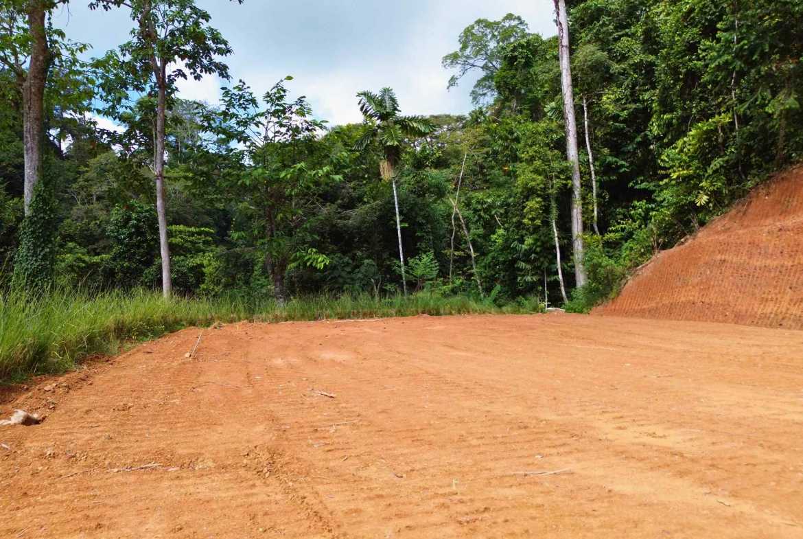 Ocean View Build-Ready Nearly-Two-Acre Building Lot with Legal Water, photo 17 of 20