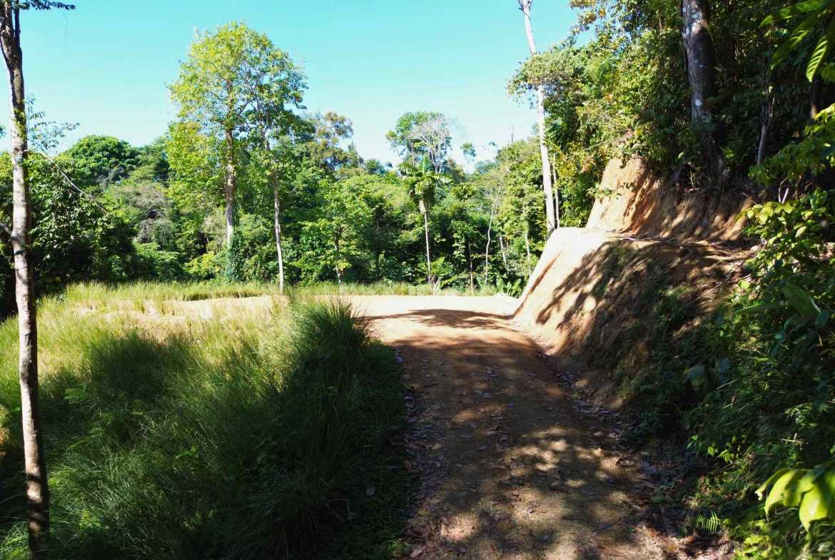 Ocean View Build-Ready Nearly-Two-Acre Building Lot with Legal Water, photo 18 of 20