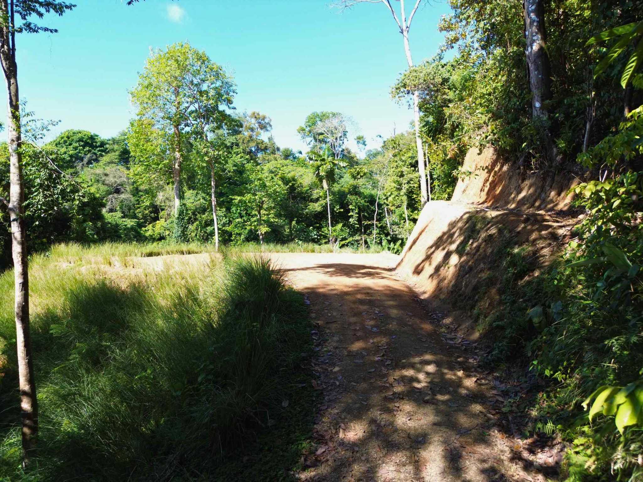 76707-18 Spectacular Ocean View Build-Ready Nearly-Two-Acre Building Lot with Legal Water in Uvita Costa Rica