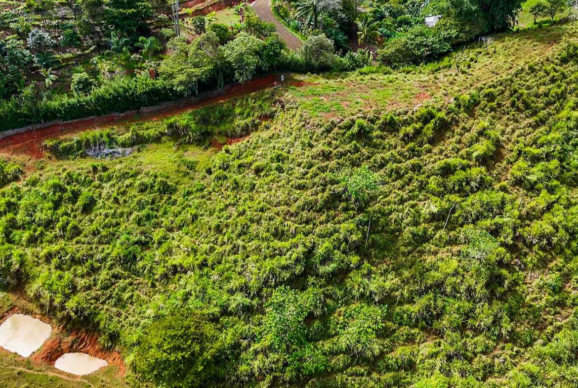 Huge Jungle View Building Lot with River Frontage and Legal Water, photo 6 of 24