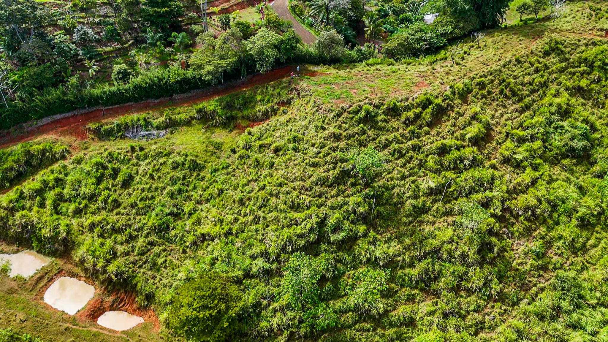 Huge Jungle View Building Lot with River Frontage and Legal Water in Ojochal Costa Rica