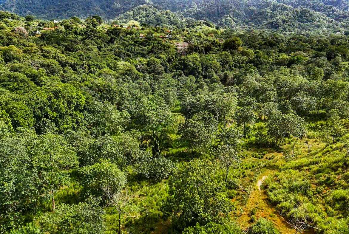 Huge Jungle View Building Lot with River Frontage and Legal Water, photo 7 of 24