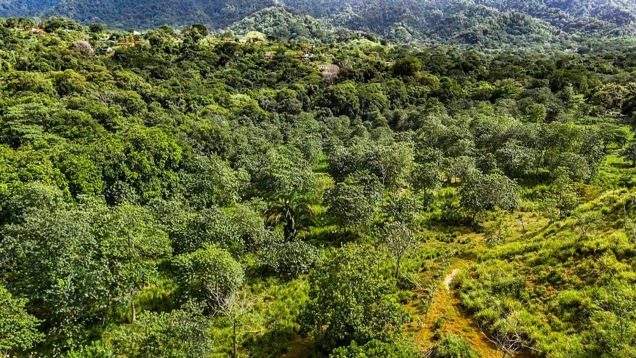Huge Jungle View Building Lot with River Frontage and Legal Water in Ojochal Costa Rica