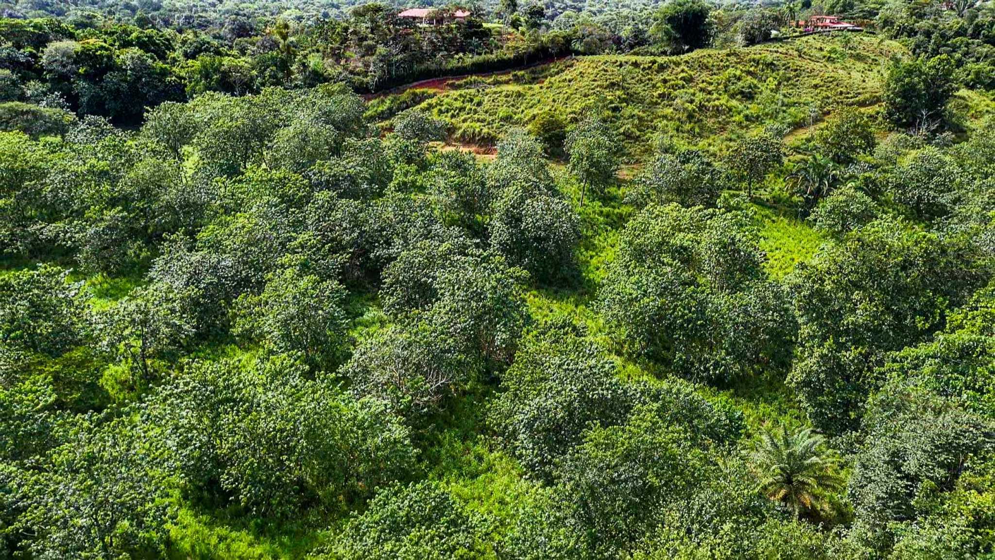 Huge Jungle View Building Lot with River Frontage and Legal Water in Ojochal Costa Rica
