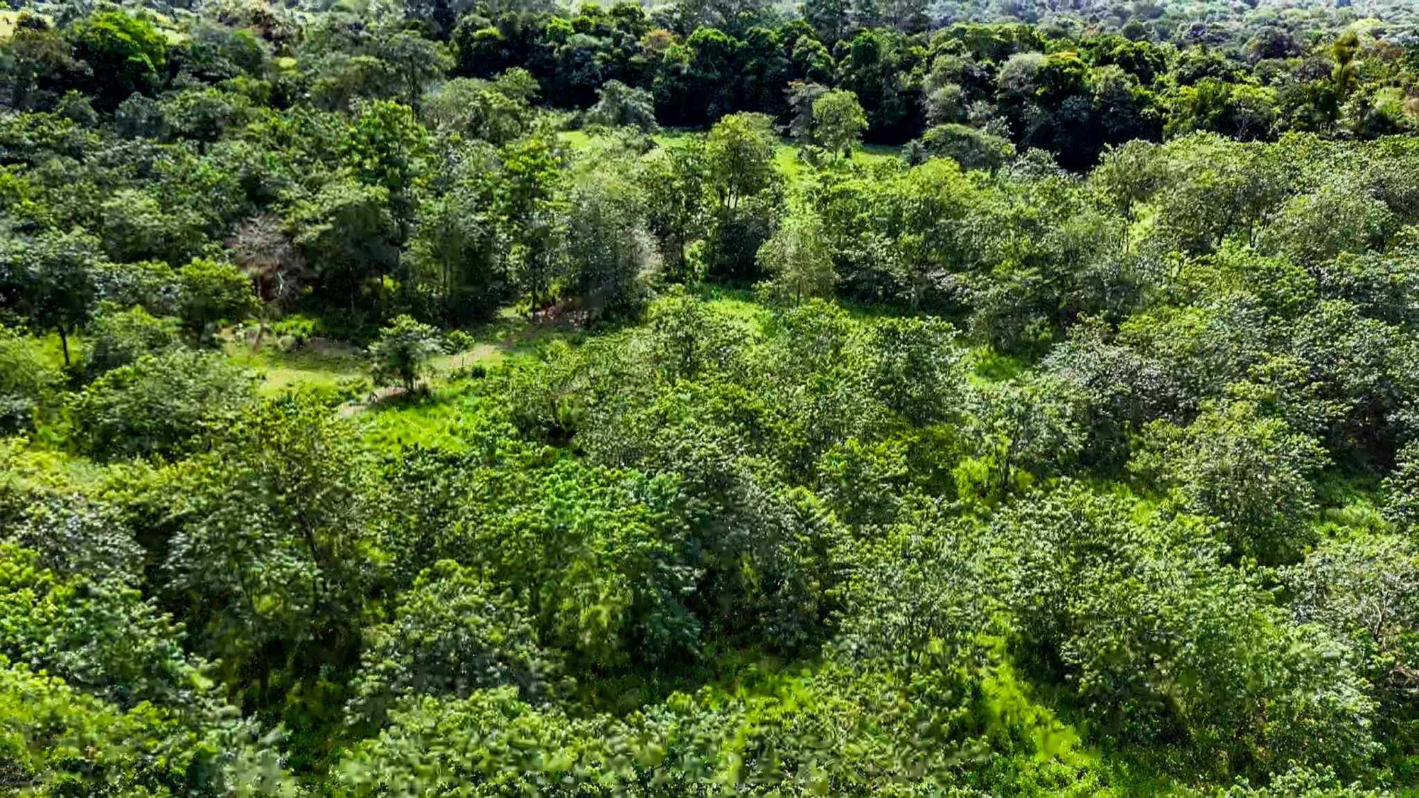 Huge Jungle View Building Lot with River Frontage and Legal Water in Ojochal Costa Rica