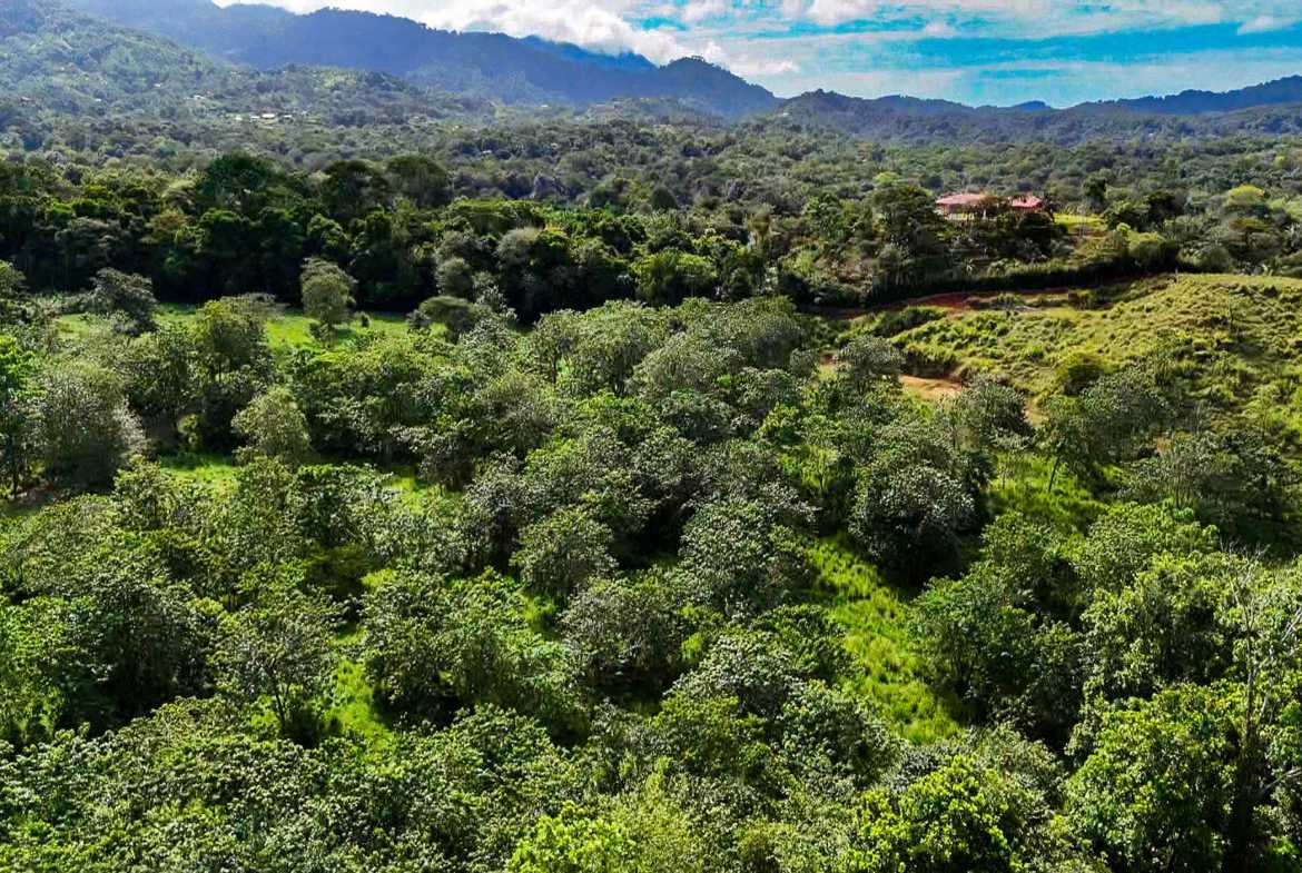 Huge Jungle View Building Lot with River Frontage and Legal Water, photo 10 of 24