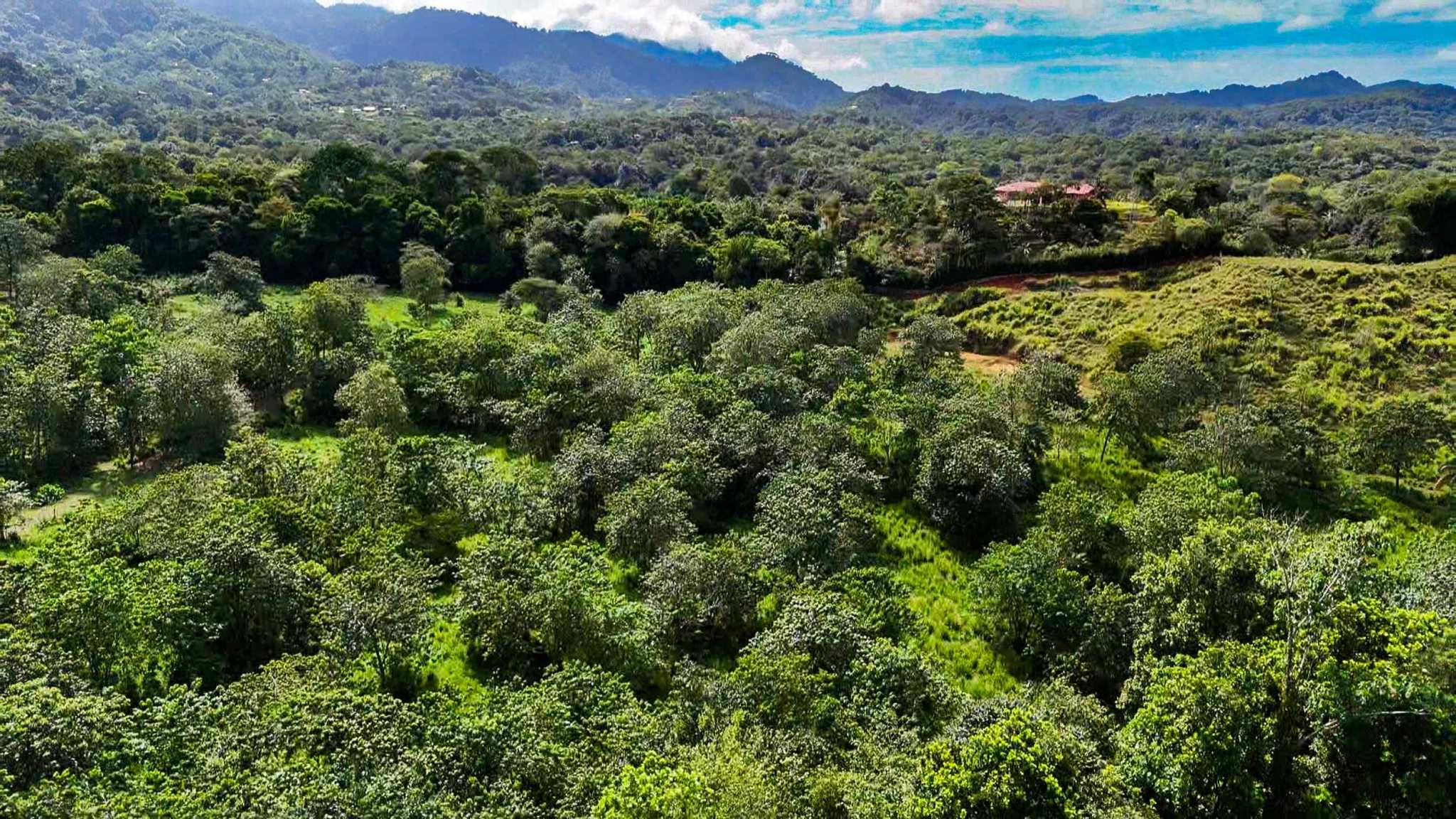 Huge Jungle View Building Lot with River Frontage and Legal Water in Ojochal Costa Rica