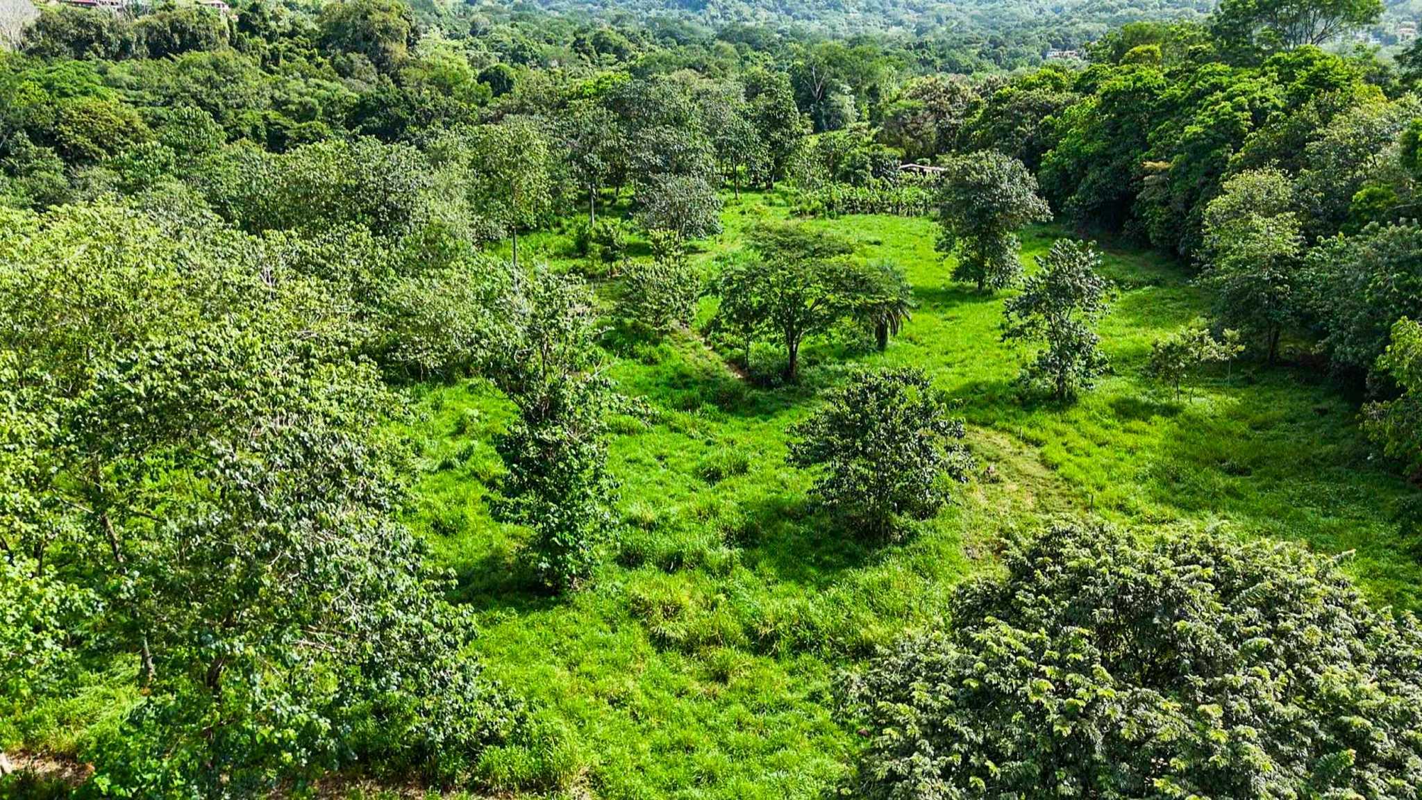 Huge Jungle View Building Lot with River Frontage and Legal Water in Ojochal Costa Rica