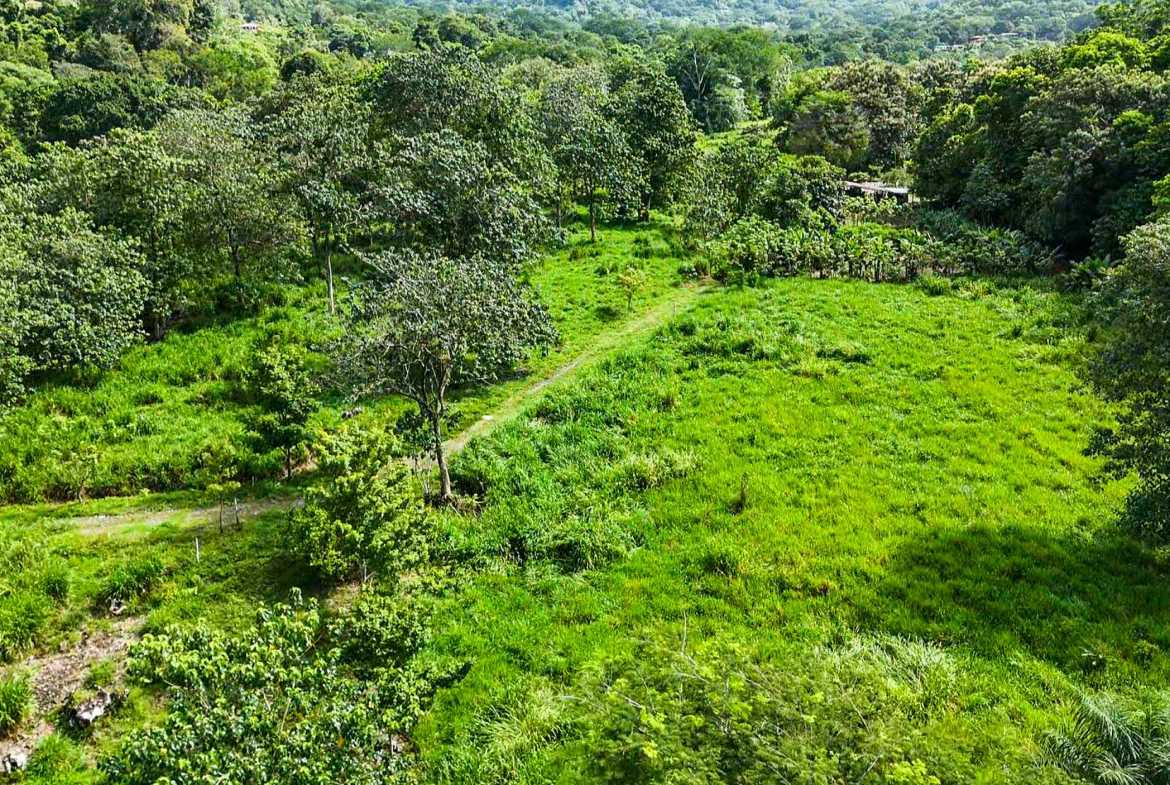 Huge Jungle View Building Lot with River Frontage and Legal Water, photo 11 of 24