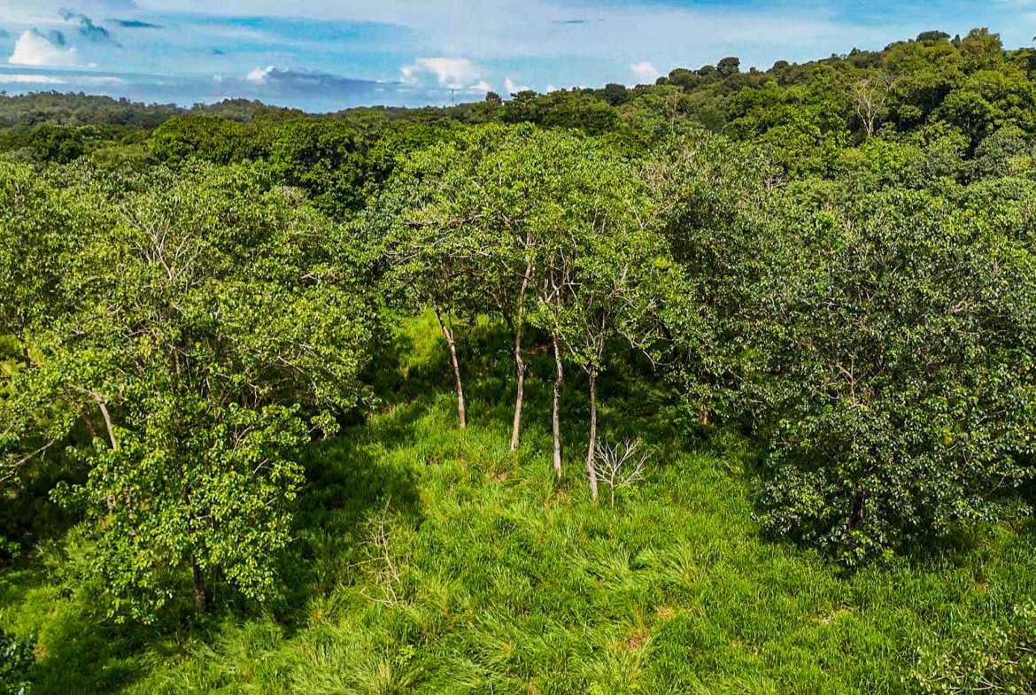 Huge Jungle View Building Lot with River Frontage and Legal Water, photo 12 of 24