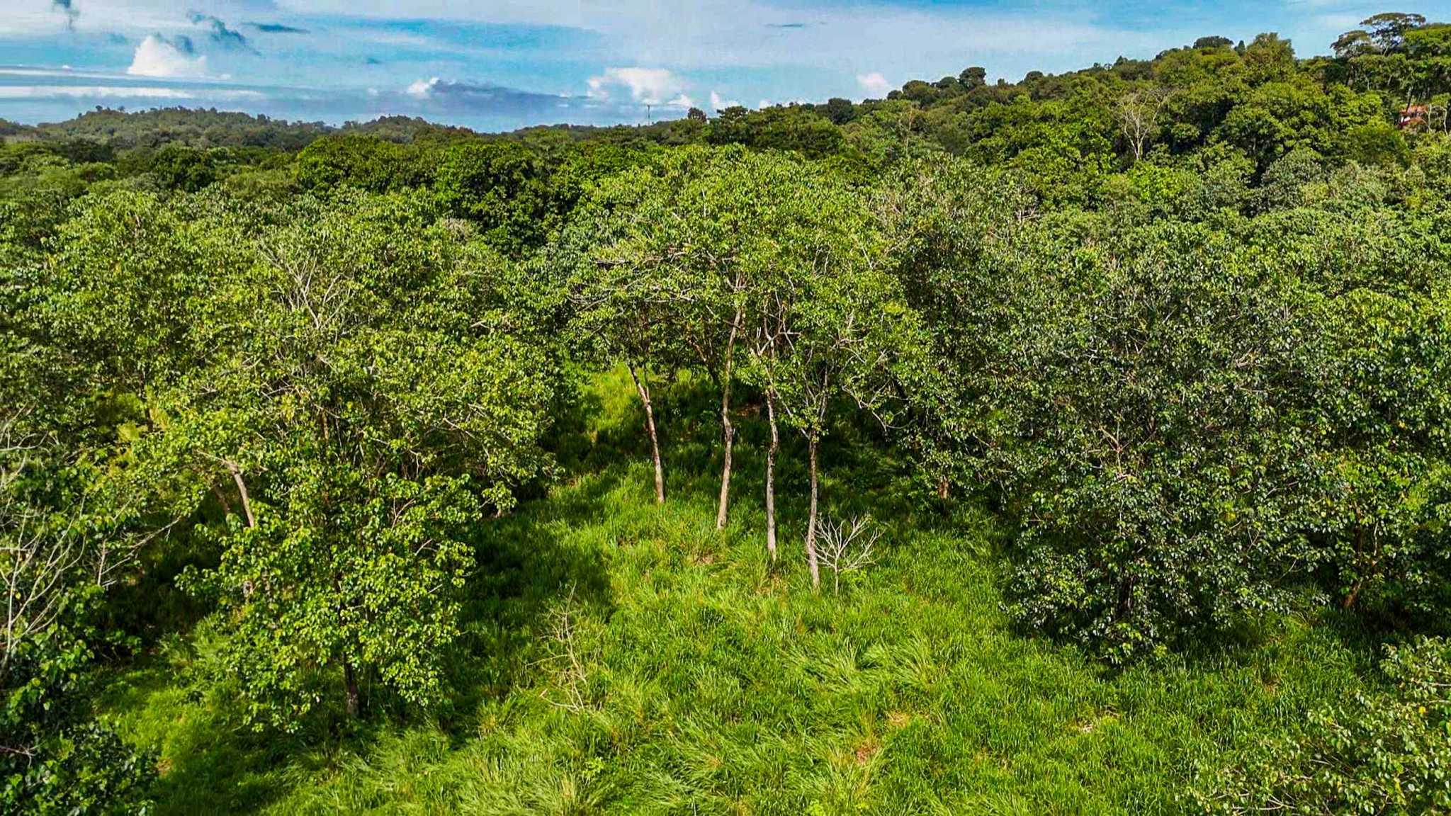 Huge Jungle View Building Lot with River Frontage and Legal Water in Ojochal Costa Rica