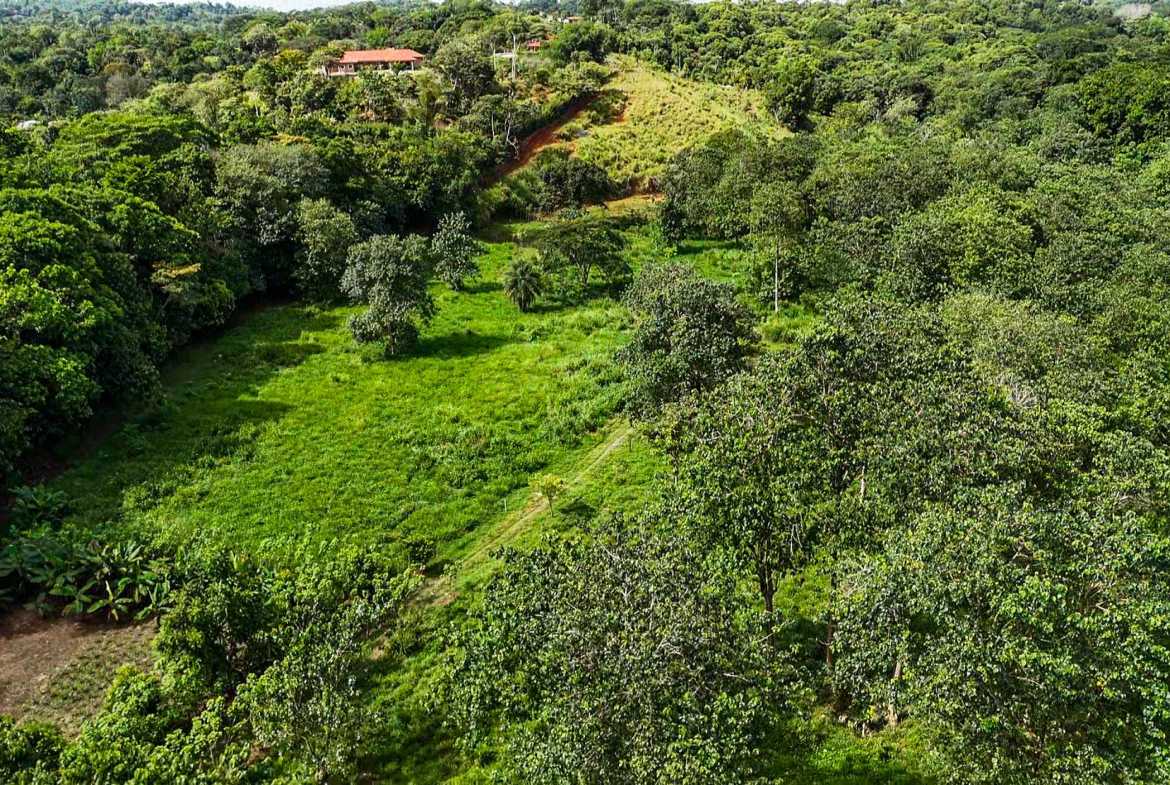 Huge Jungle View Building Lot with River Frontage and Legal Water, photo 13 of 24