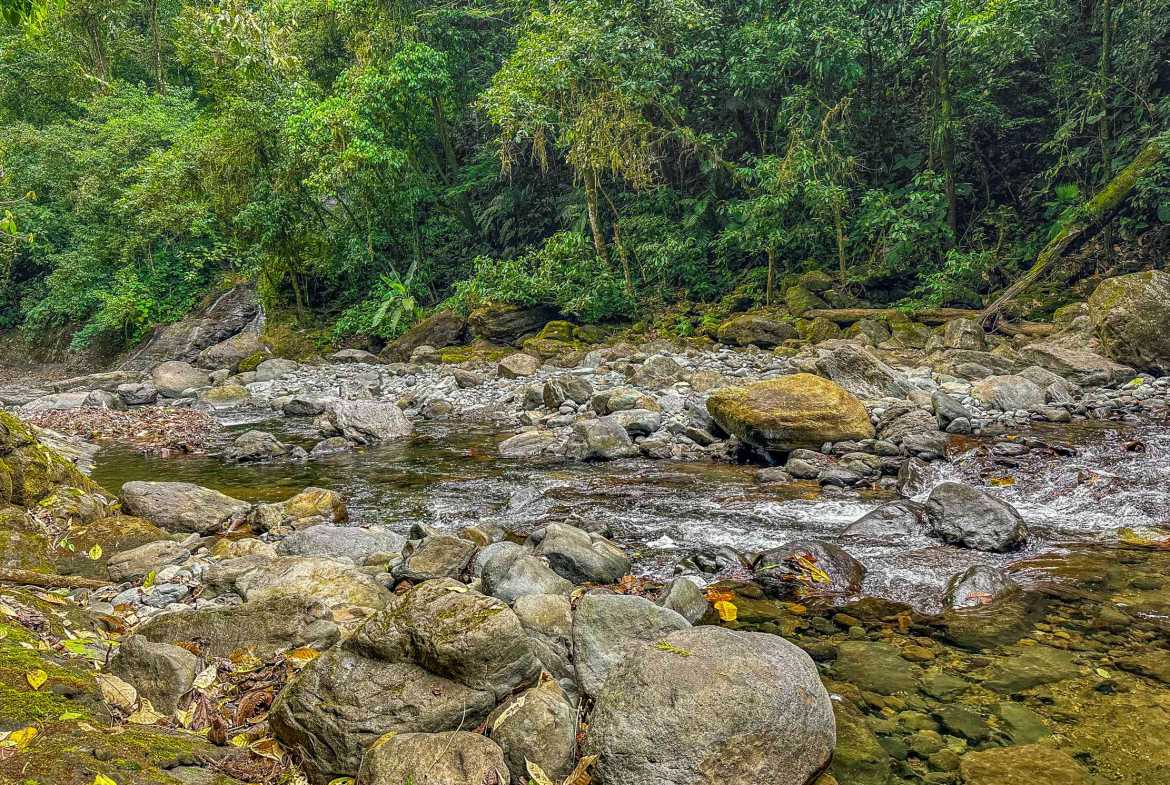 Huge Jungle View Building Lot with River Frontage and Legal Water, photo 5 of 24
