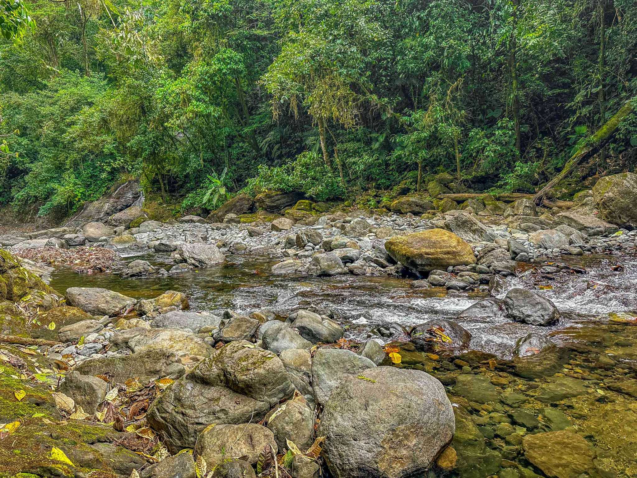 Huge Jungle View Building Lot with River Frontage and Legal Water in Ojochal Costa Rica