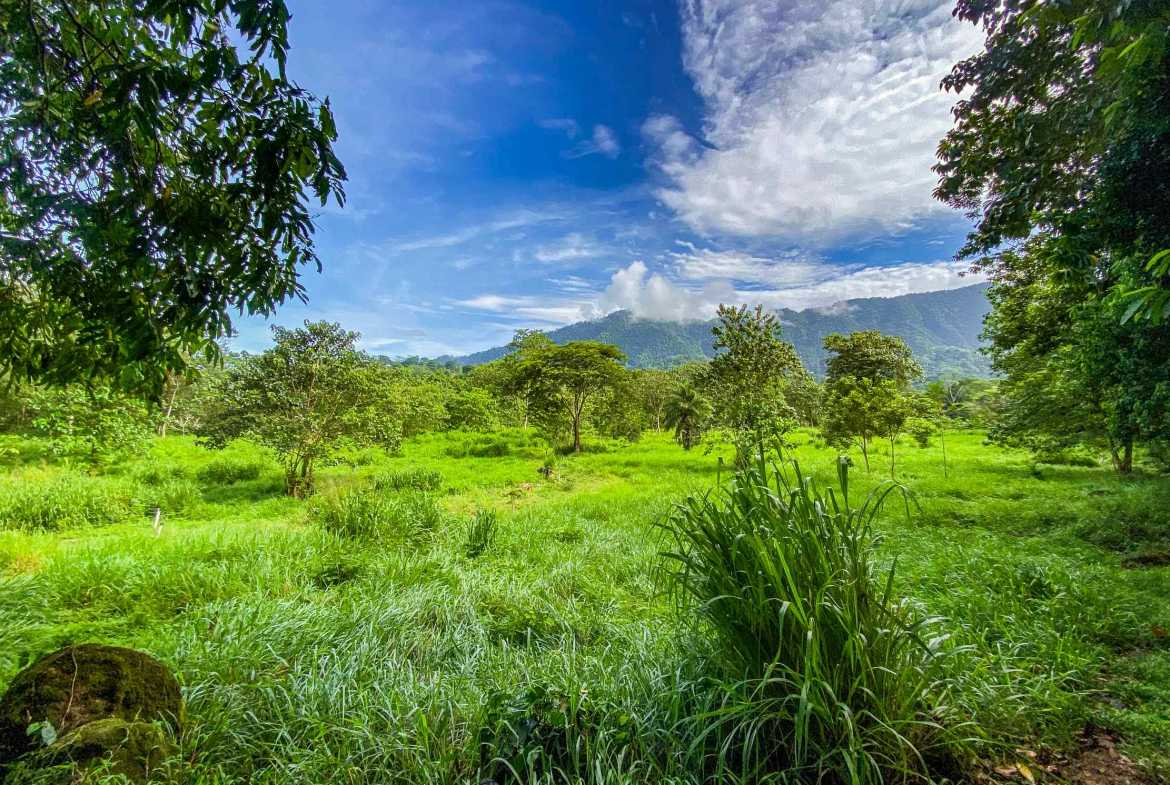 Huge Jungle View Building Lot with River Frontage and Legal Water, photo 14 of 24