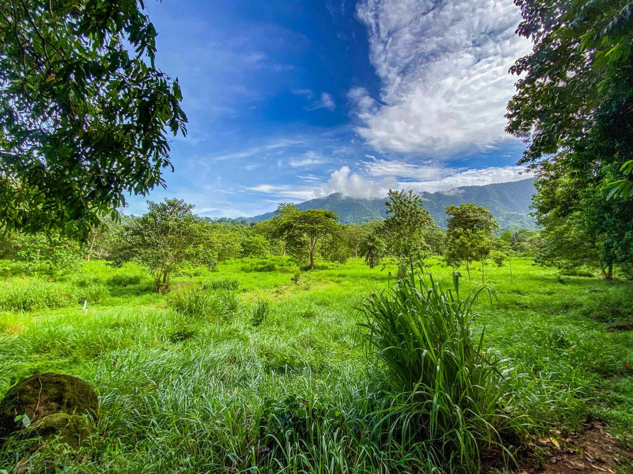 Huge Jungle View Building Lot with River Frontage and Legal Water in Ojochal Costa Rica