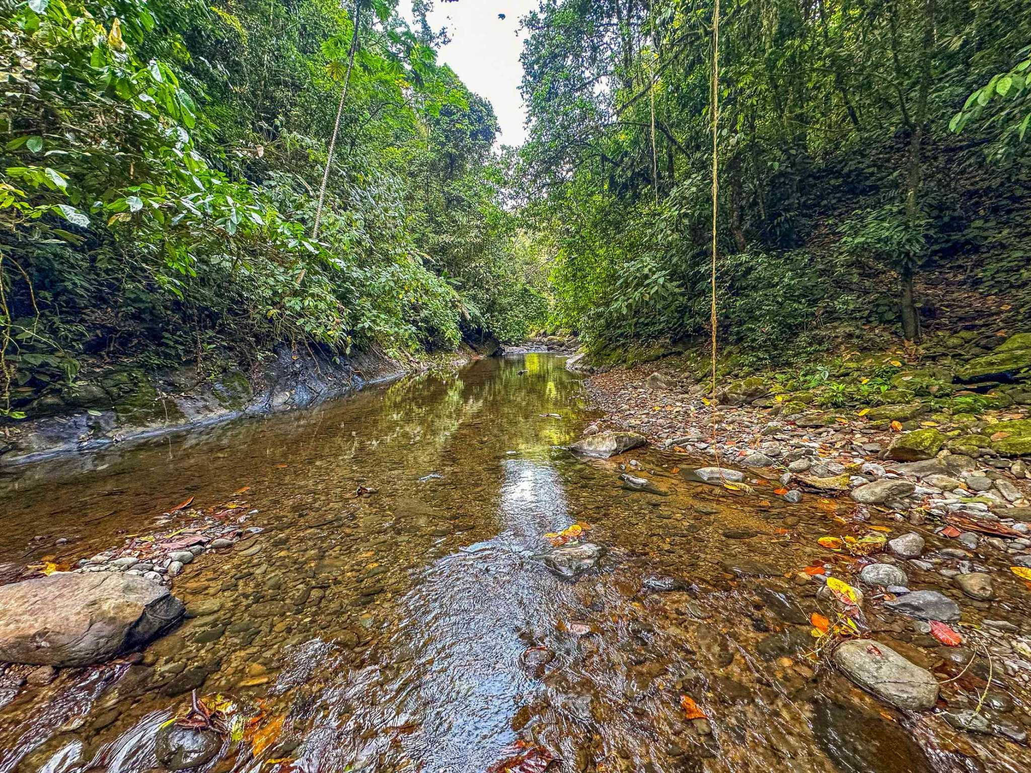 Huge Jungle View Building Lot with River Frontage and Legal Water in Ojochal Costa Rica