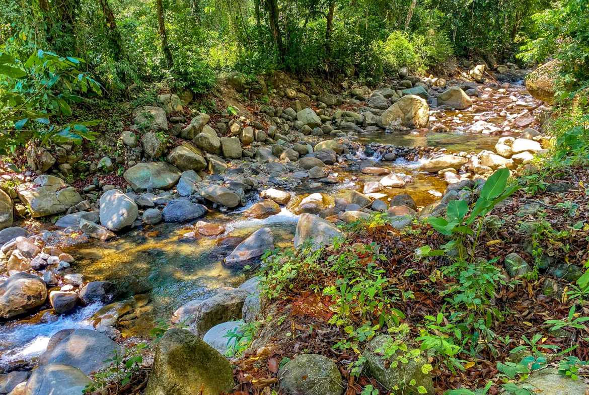 Huge Jungle View Building Lot with River Frontage and Legal Water, photo 15 of 24