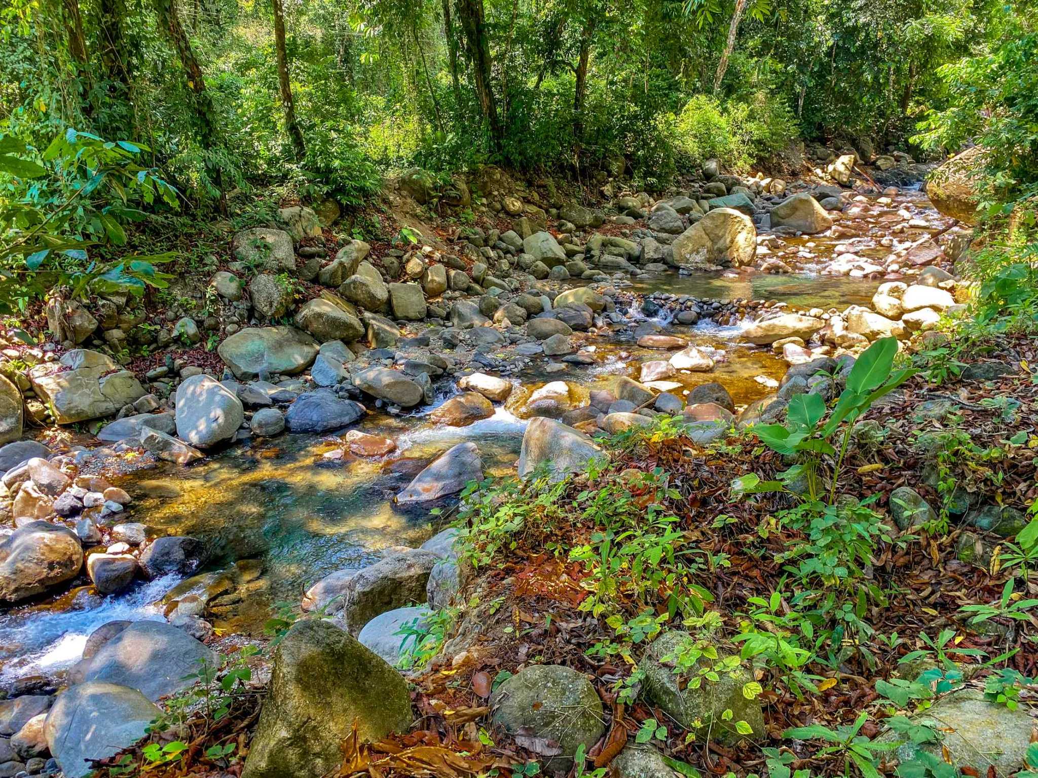 Huge Jungle View Building Lot with River Frontage and Legal Water in Ojochal Costa Rica