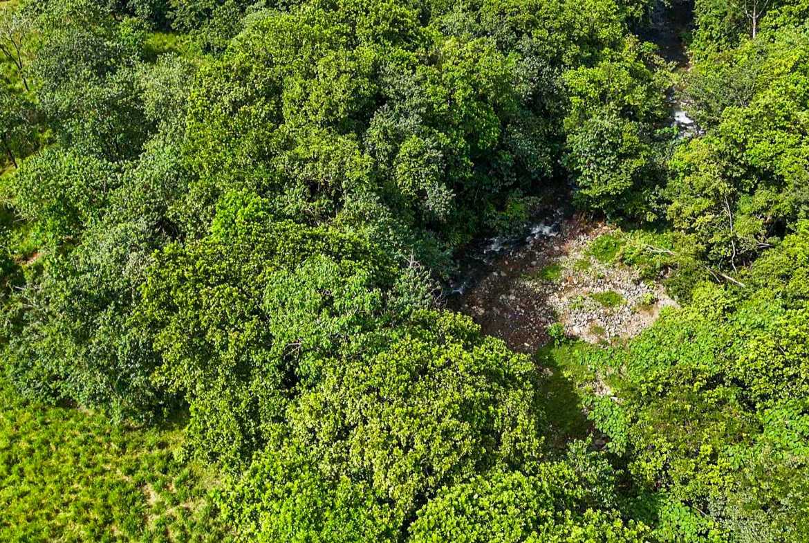 Huge Jungle View Building Lot with River Frontage and Legal Water, photo 16 of 24