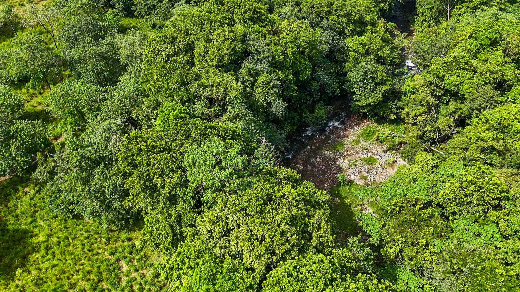 Huge Jungle View Building Lot with River Frontage and Legal Water in Ojochal Costa Rica