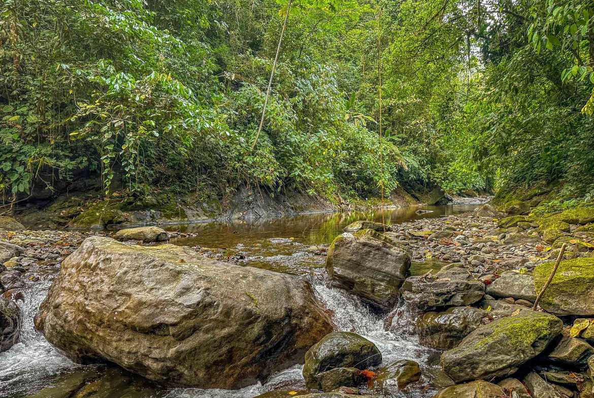 Huge Jungle View Building Lot with River Frontage and Legal Water, photo 17 of 24