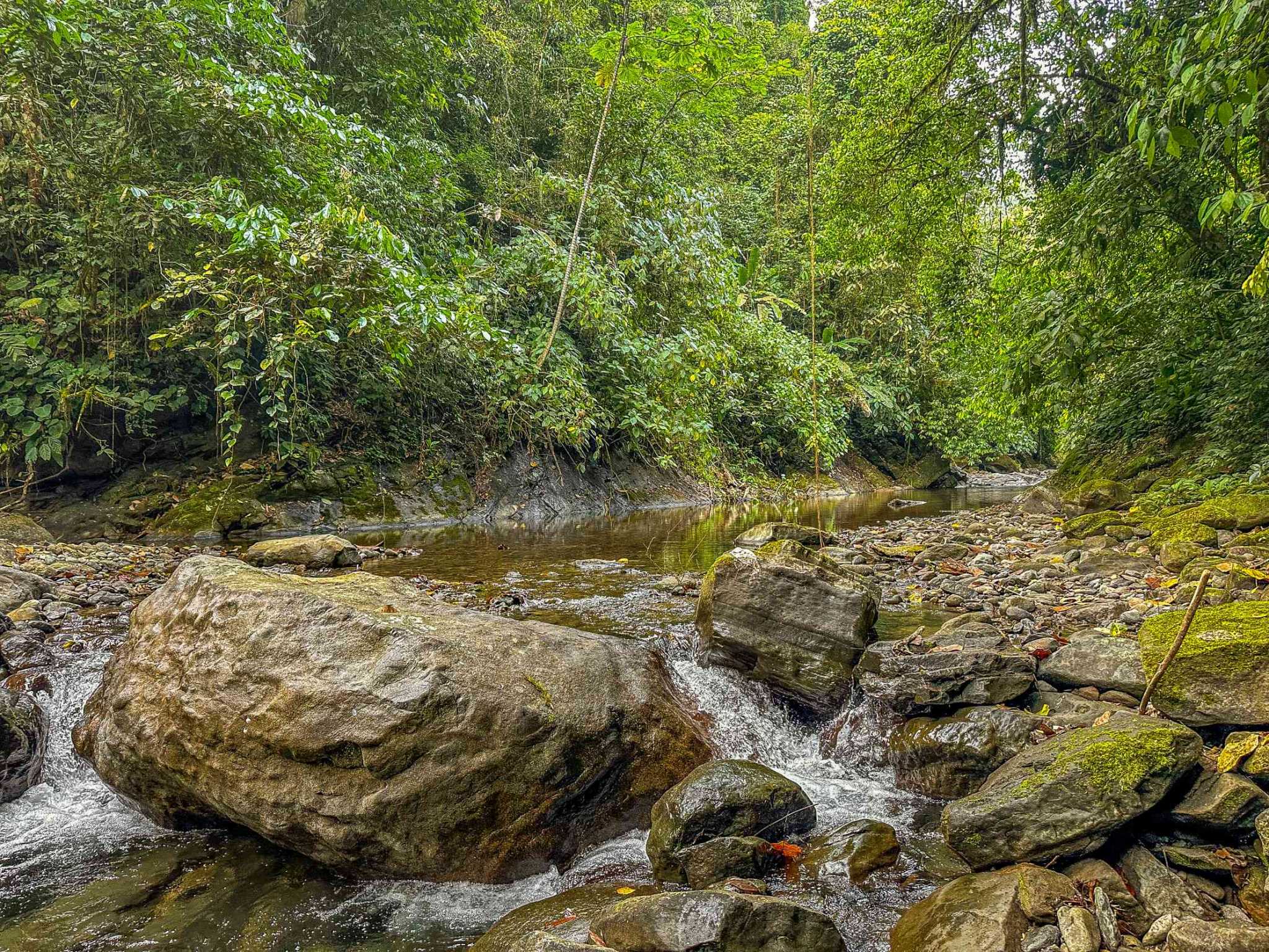 Huge Jungle View Building Lot with River Frontage and Legal Water in Ojochal Costa Rica