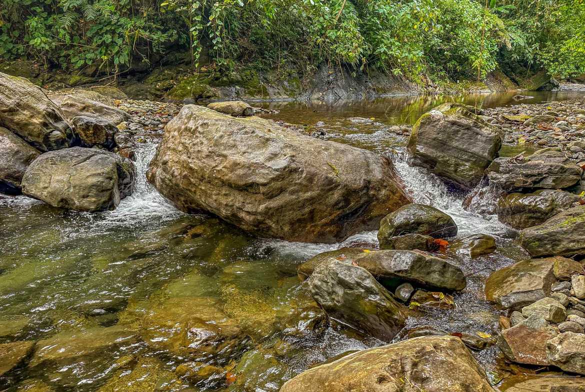 Huge Jungle View Building Lot with River Frontage and Legal Water, photo 18 of 24