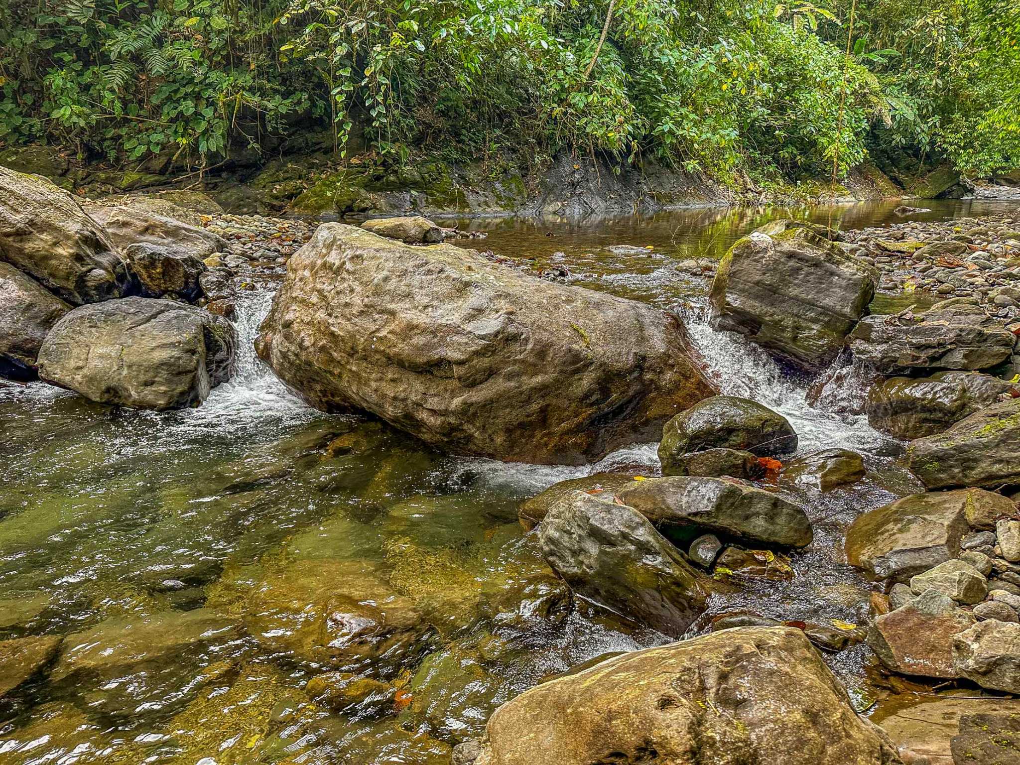 Huge Jungle View Building Lot with River Frontage and Legal Water in Ojochal Costa Rica