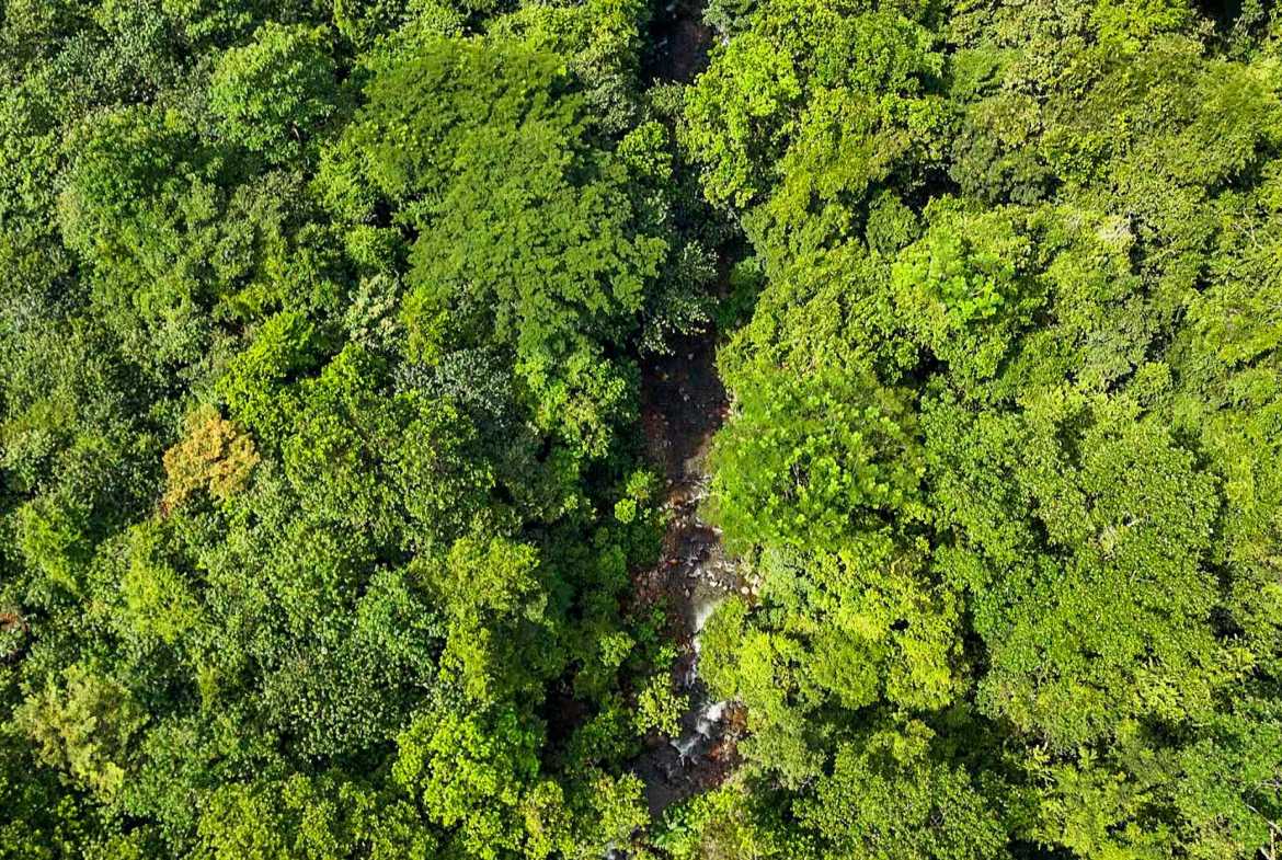 Huge Jungle View Building Lot with River Frontage and Legal Water, photo 19 of 24