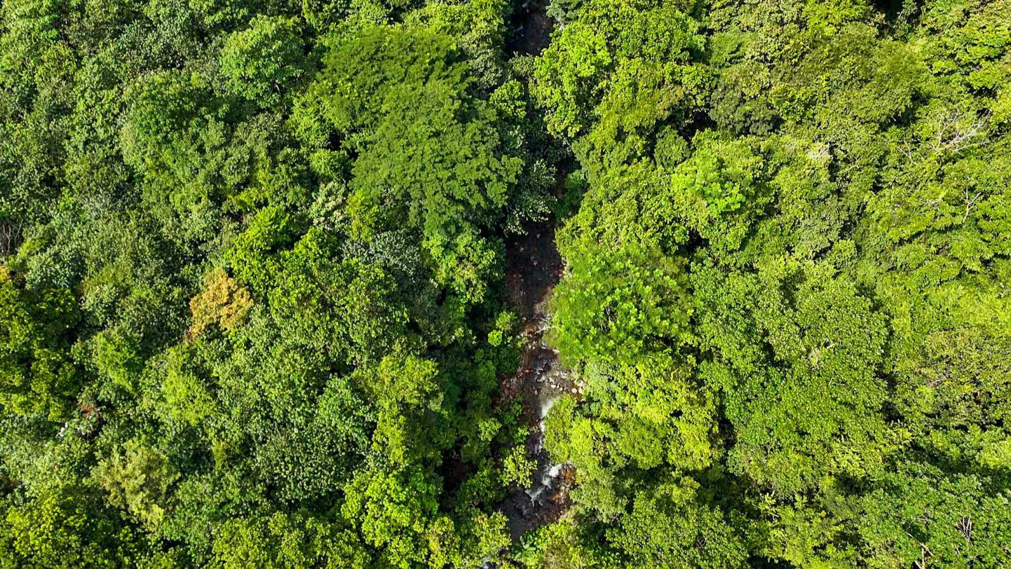 Huge Jungle View Building Lot with River Frontage and Legal Water in Ojochal Costa Rica