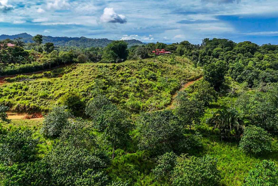 Huge Jungle View Building Lot with River Frontage and Legal Water, photo 20 of 24