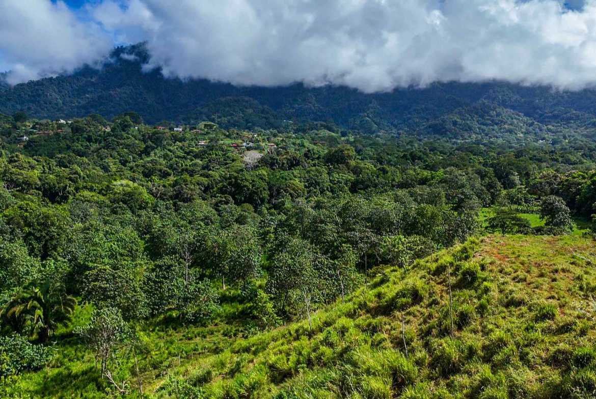 Huge Jungle View Building Lot with River Frontage and Legal Water, photo 21 of 24