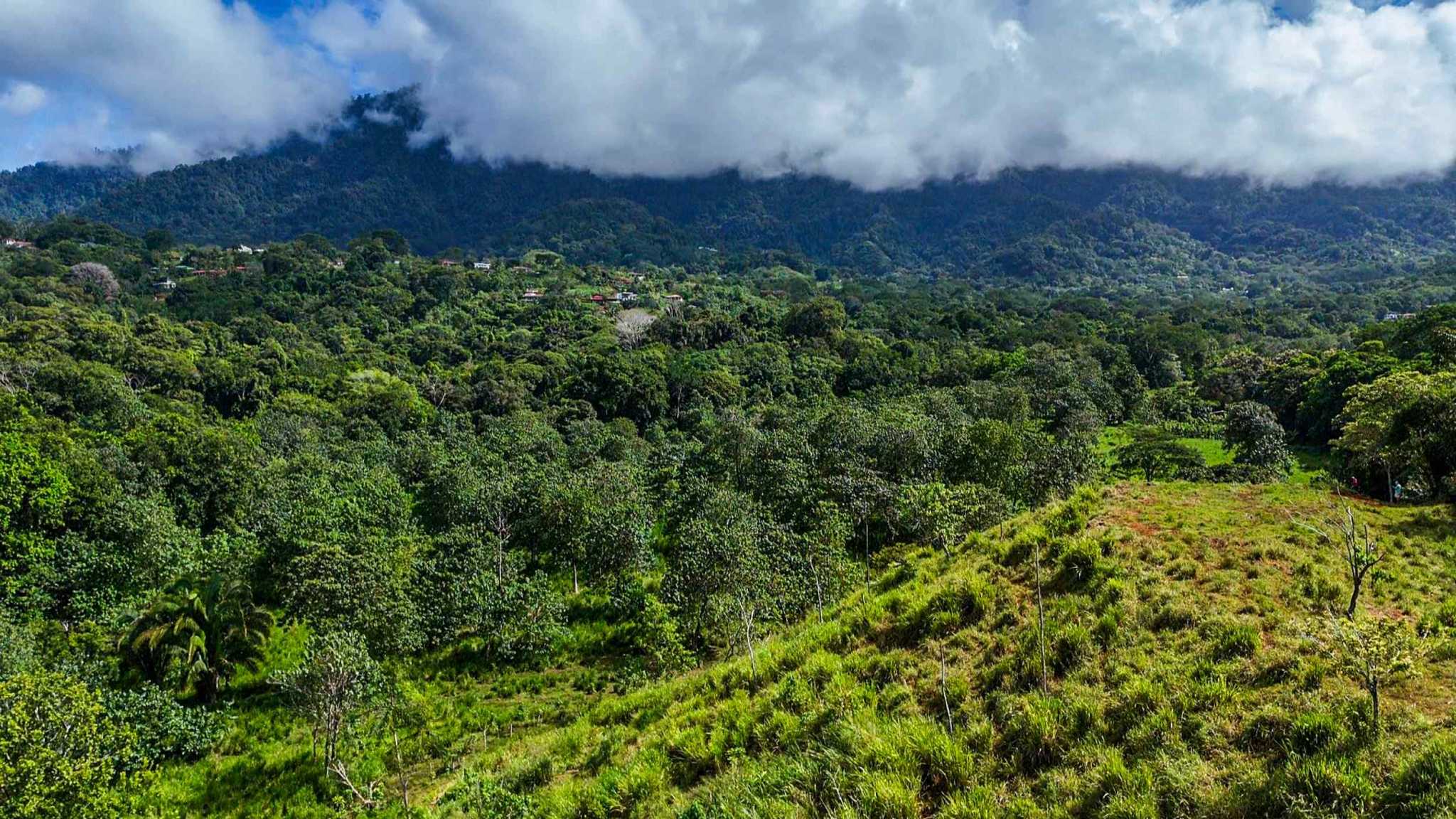 Huge Jungle View Building Lot with River Frontage and Legal Water in Ojochal Costa Rica
