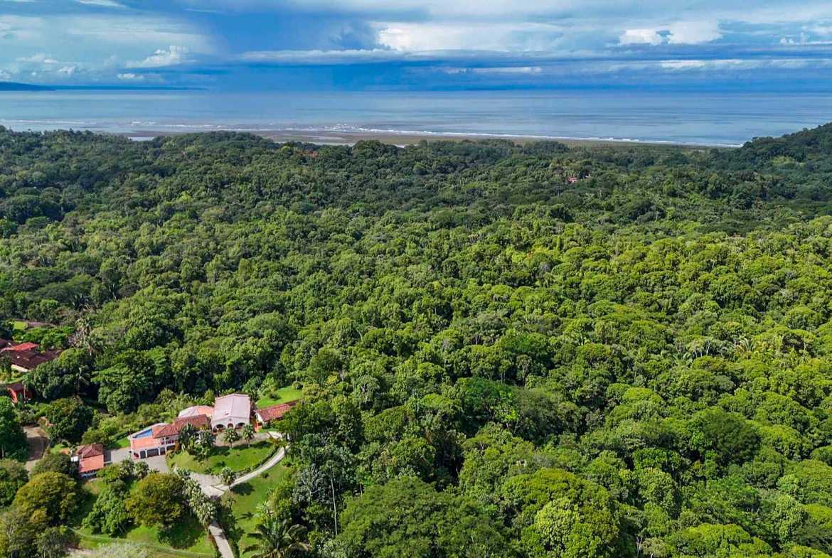 Huge Jungle View Building Lot with River Frontage and Legal Water, photo 22 of 24