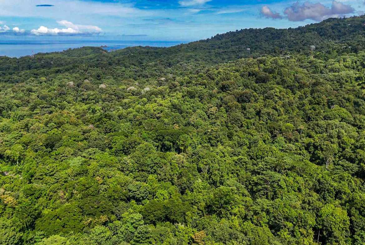 Huge Jungle View Building Lot with River Frontage and Legal Water, photo 23 of 24