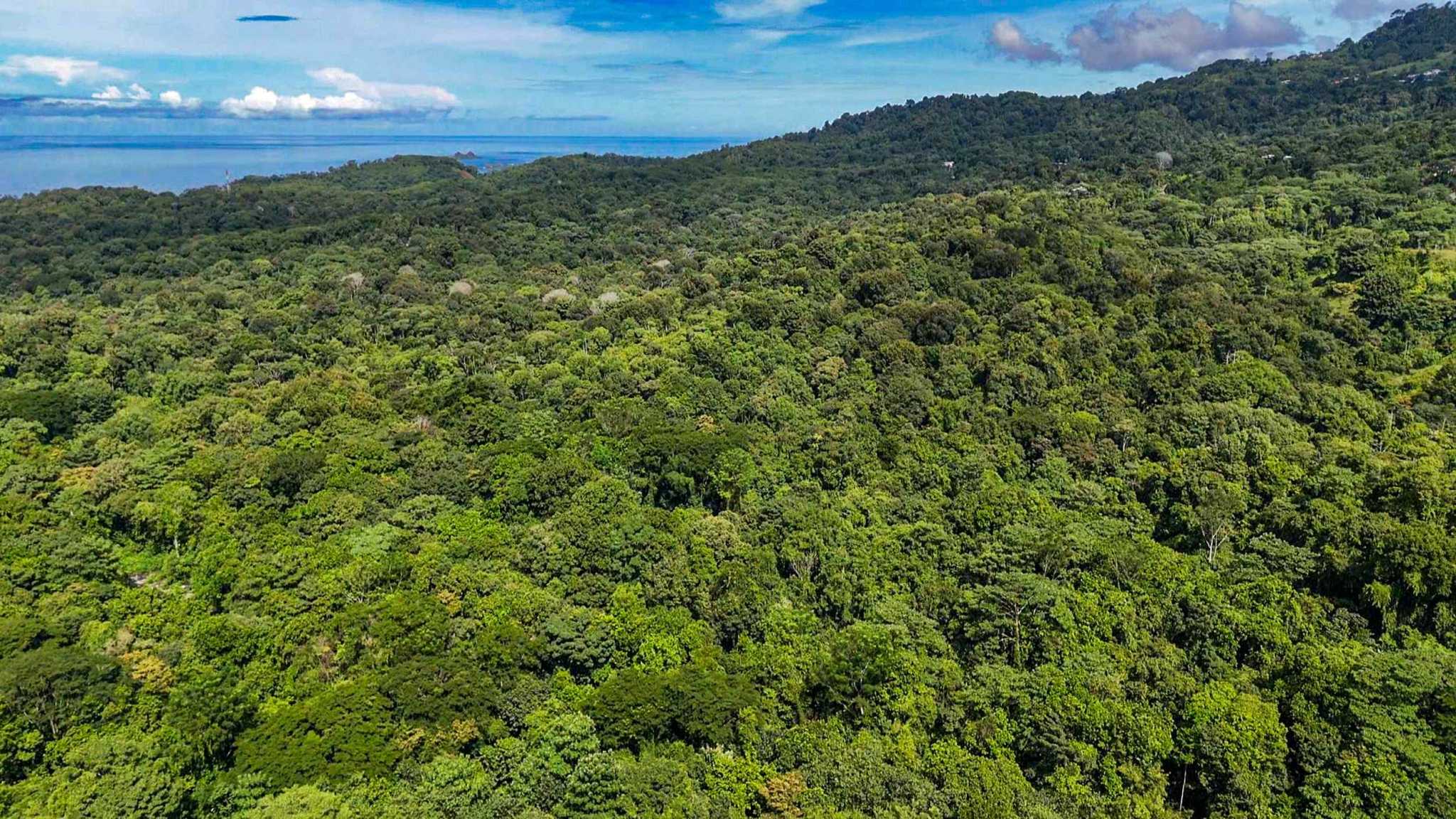 Huge Jungle View Building Lot with River Frontage and Legal Water in Ojochal Costa Rica