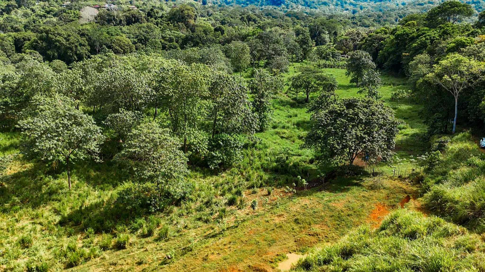 Huge Jungle View Building Lot with River Frontage and Legal Water in Ojochal Costa Rica