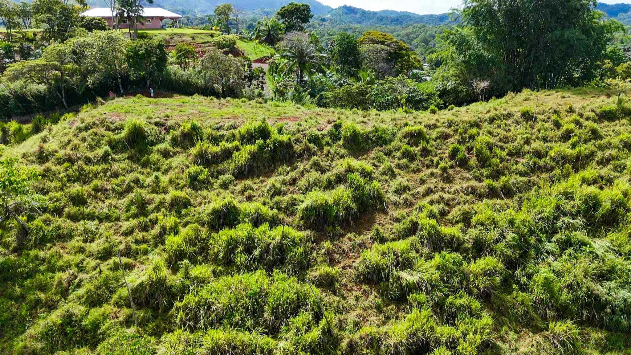 Huge Jungle View Building Lot with River Frontage and Legal Water in Ojochal Costa Rica