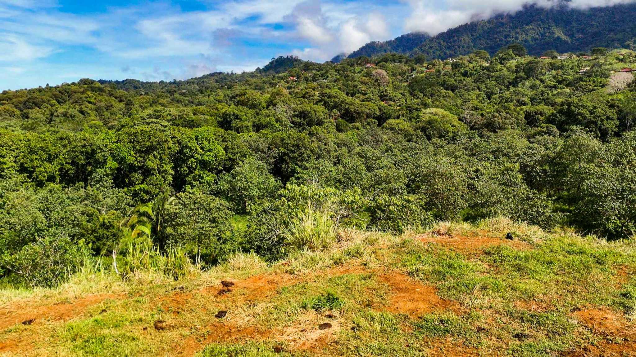 Huge Jungle View Building Lot with River Frontage and Legal Water in Ojochal Costa Rica