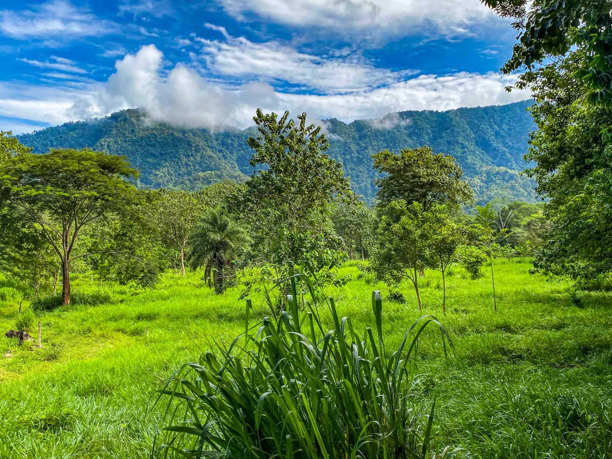 Huge Jungle View Building Lot with River Frontage and Legal Water in Ojochal Costa Rica